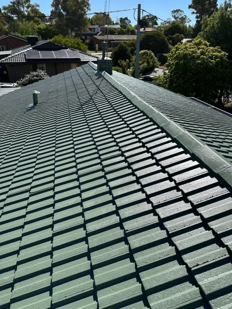 Painted Roof Canberra