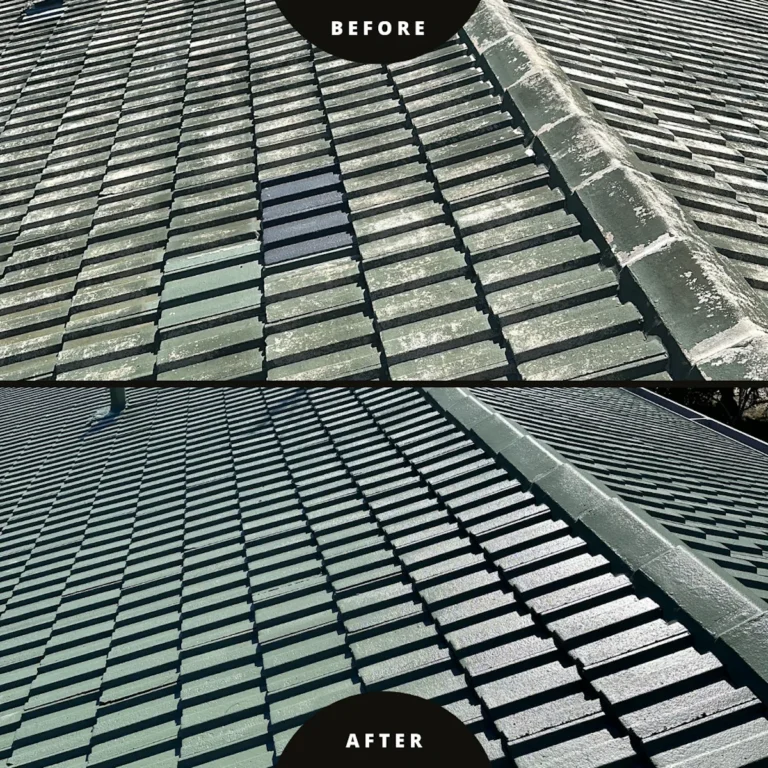 Roof Painting Before And After